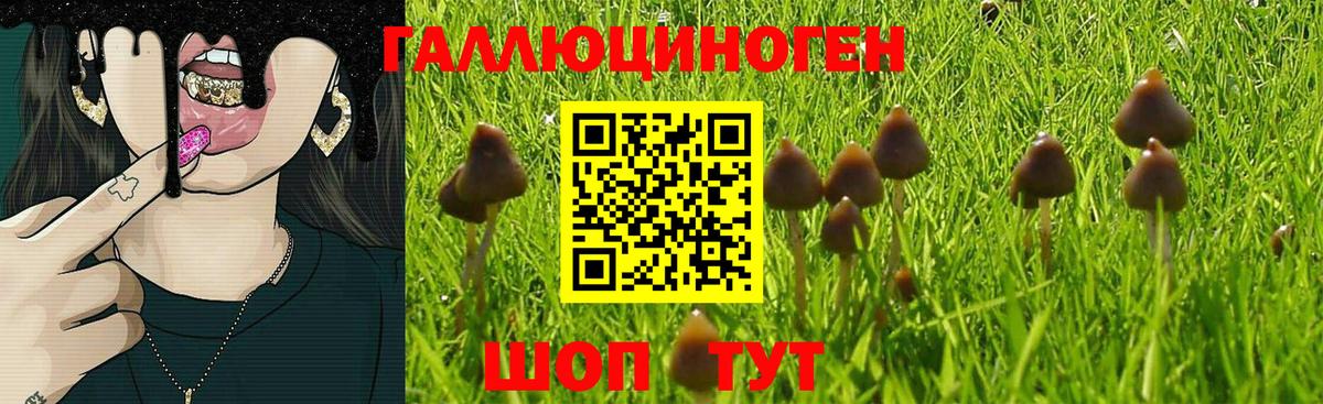 Краснознаменск  Галлюциногенные грибы MAGIC MUSHROOMS  Вход с VPN 