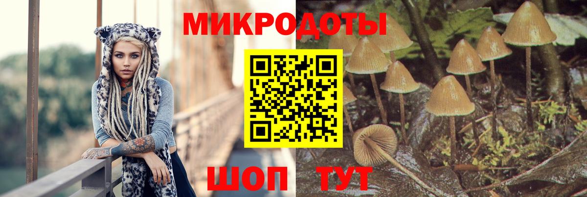 Псилоцибиновые грибы прущие грибы Краснознаменск